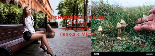 МДПВ Армянск