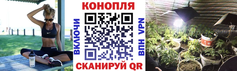 Каннабис конопля  как найти закладки  Зима 